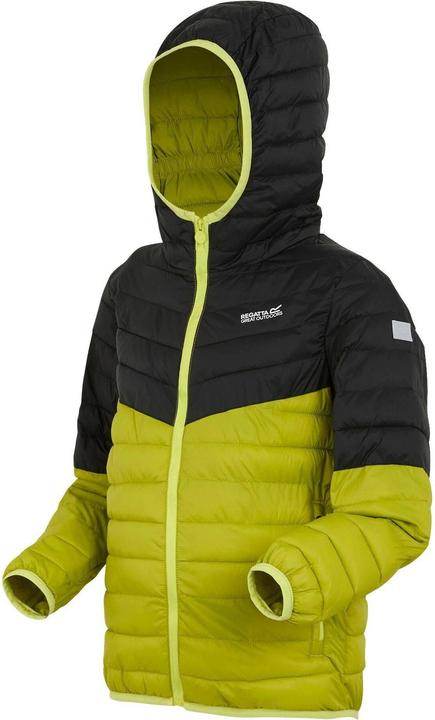 Produktbild Regatta Hillpack III Kapuzenjacke (122)