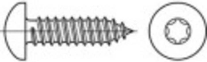 Image du produit Toolcraft Vis à tôle bombée 6.3 mm 13 (250 Vis par pièce)