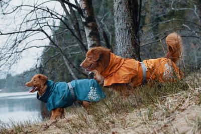 Immagine prodotto Hurtta Cappotto Monsoon mirtillo (65, Cappotto per cani)