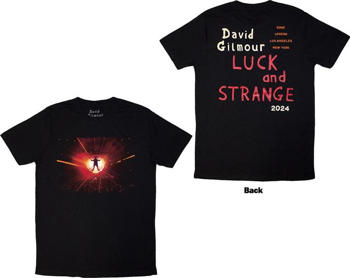 Produktbild David Gilmour Luck & Strange Stage Shot (L)