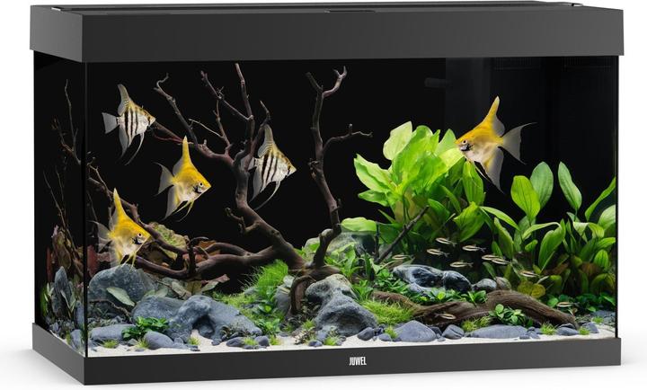 Juwel Aquarium Aquarium Rio 290, schwarz (290 l)