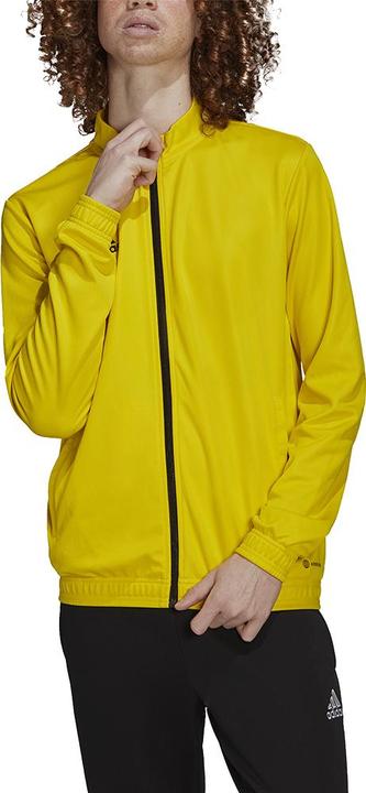 Actual product image adidas Entrada 22 men's training jacket (M)