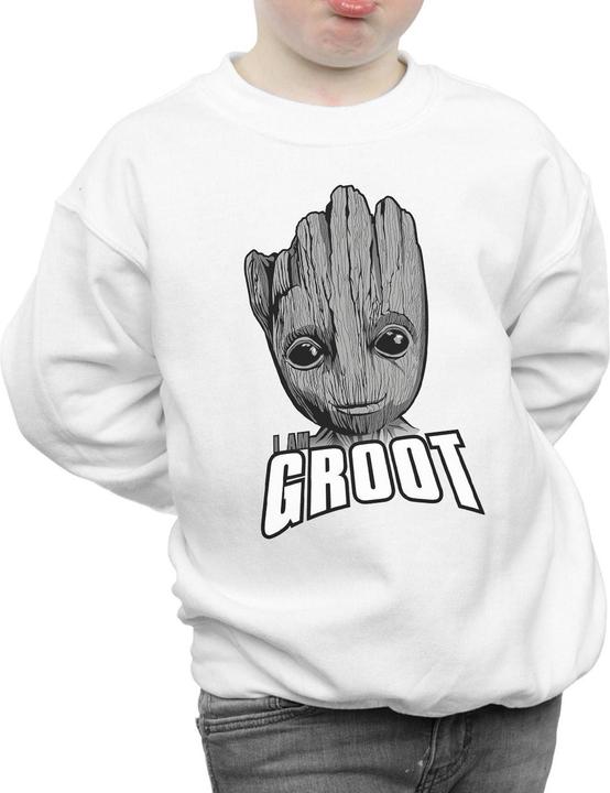 Produktbild Guardians Of The Galaxy Groot Face Sweatshirt Jungen (152, 158)