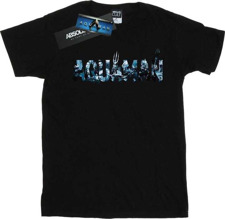 Aquaman Text Logo TShirt (XL)