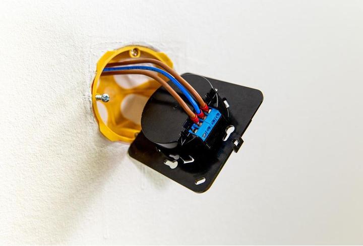 Actual product image Shelly Wall Display