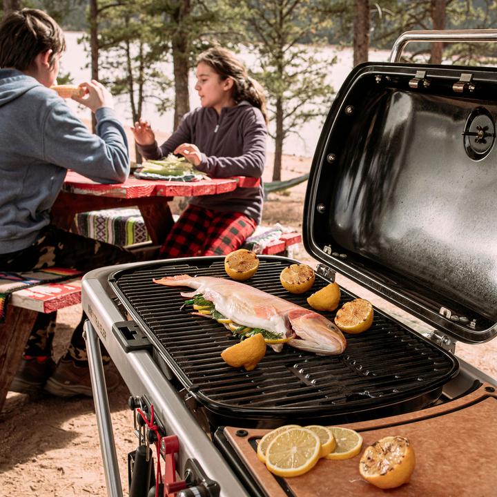 Image du produit Weber Voyageur (3.80 kW)