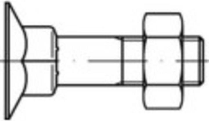 Image du produit Toolcraft Vis à tête fraisée à collet carré (200 Vis par pièce)