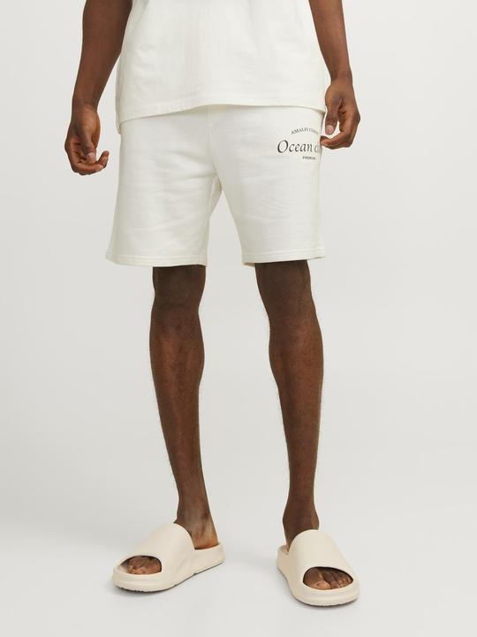 Actual product image Jack & Jones Jprblaocean Club Sweat Shorts (L)