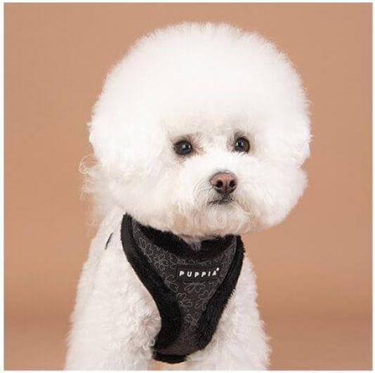 Produktbild Puppia Hepatica Harness Beige M (M, Hund)