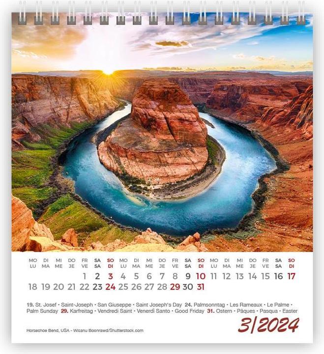 Produktbild Kalender Lustige Tiere Mini 2024 (11 x 10 cm)