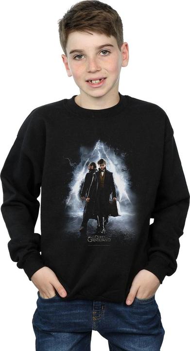 Actual product image Fantastic Beasts Boys Newt And Dumbledore Poster Sweatshirt (128)