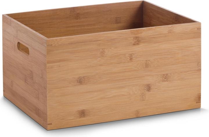 Zeller Present Aufbewahrungskiste (40 x 30 x 21 cm, 25.20 l)