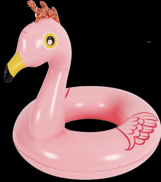 Immagine prodotto Jilong Anello da bagno per animali