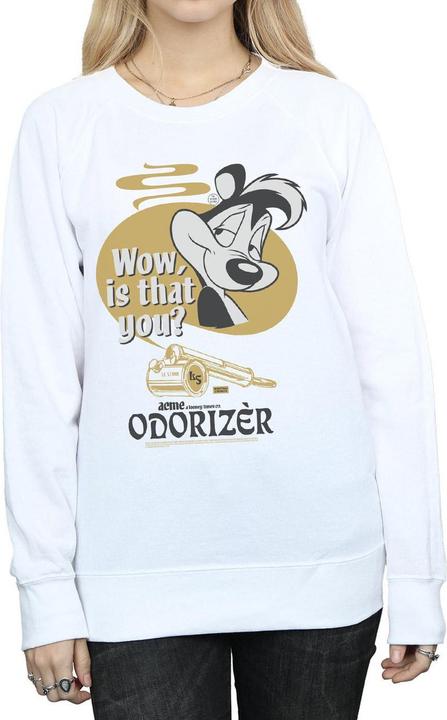 Produktbild Looney Tunes Odorizer Sweatshirt (XXL)