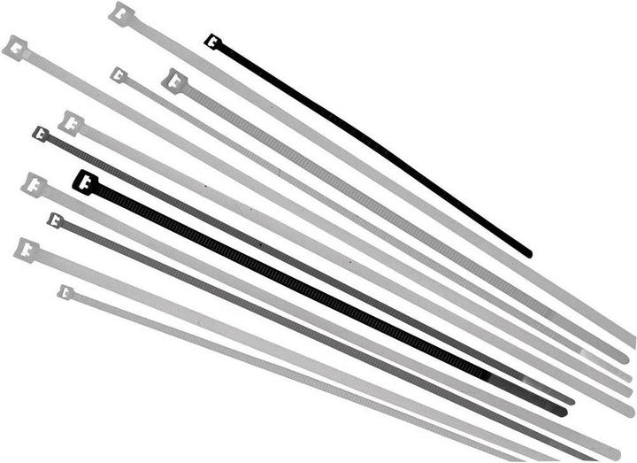 Actual product image Lapp Cable tie 450 mm nature 61831 (Plastic cable ties, 450 mm, 100 pcs.)