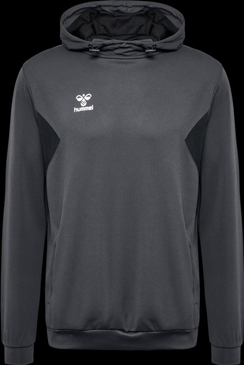 Actual product image hummel Hmlauthentic Pl Hoodie (XL)