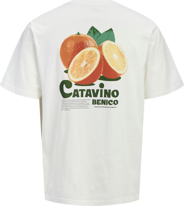 Produktbild Jack & Jones Jorbradley Fruits Tee Ss C.N Stmss25 (XXL)