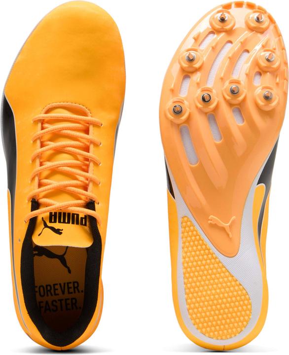 Image du produit Puma evoSPEED Sprint 14.5 (45)