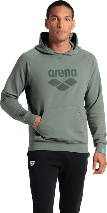 Arena Hooded Sweat Logo