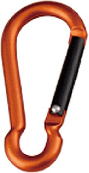 Actual product image Munkees Pear-Shape Carabiner 6x60mm (2 pieces)