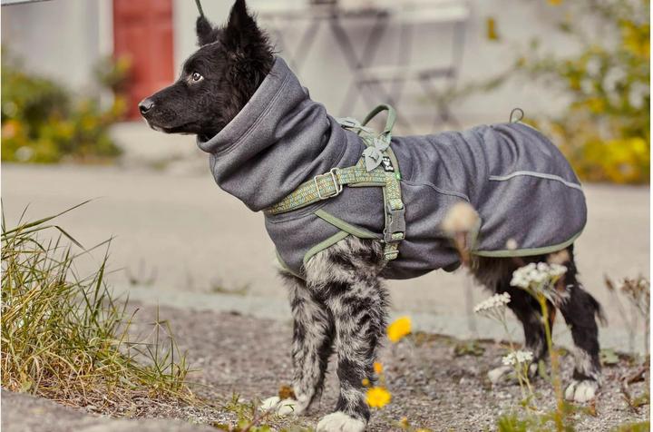 Image du produit Hurtta Razzle-Dazzle blackberry Gr.40 (S, Pull-over pour chien)