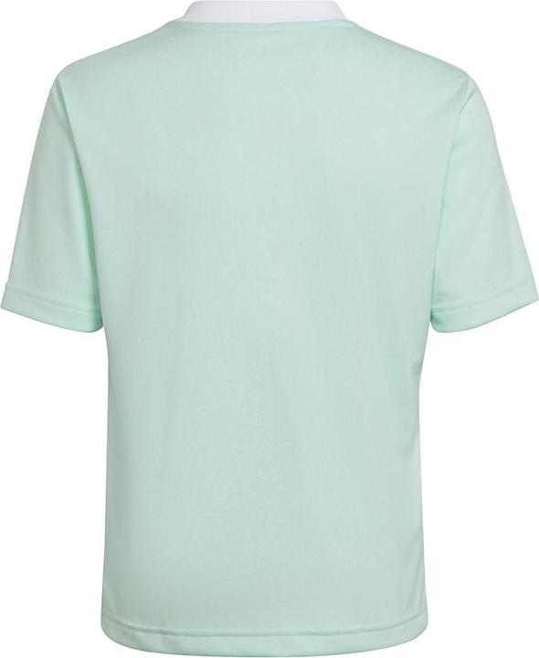 Actual product image adidas Entrada 22 Jersey (128)