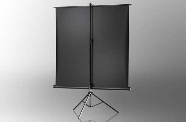 Actual product image Celexon Economy (86", 4:3)