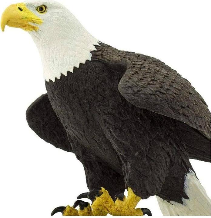 Actual product image Safari Bald Eagle
