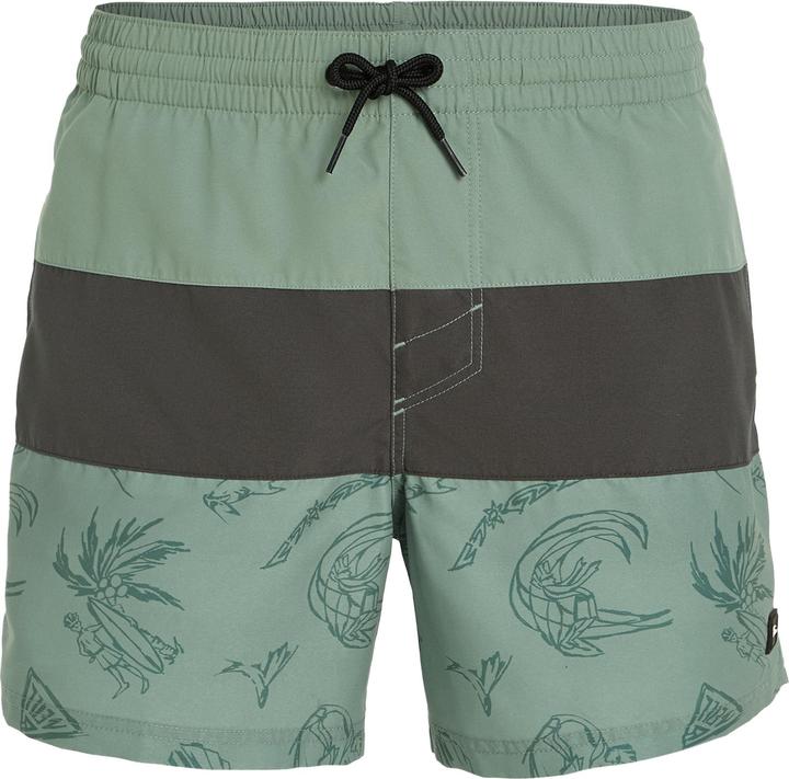 Immagine prodotto O'Neill Pantaloncini Da Bagno Cali Block 15" Mix & Match (L)