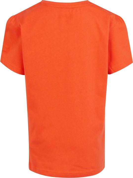 Actual product image Regatta Childrens/Kids Bosley VII Butterflies T-Shirt (104)