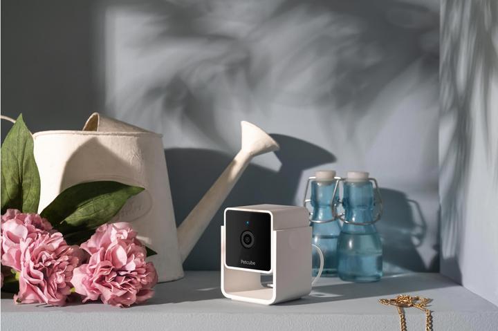 Image du produit Petcube Caméra pour animaux domestiques (Jouets avec herbe à chat)