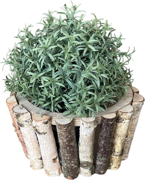 Image du produit Natura Punto Pot à plantes en bois de bouleau, rond (10 cm)