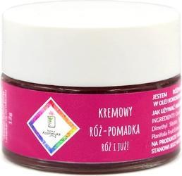 Image du produit NoName Rouge à lèvres crémeux rose Pink And Already 12g (Pink And Already)
