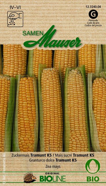 Image du produit Samen Mauser Maïs doux Tramunt KS (Graines de légumes)