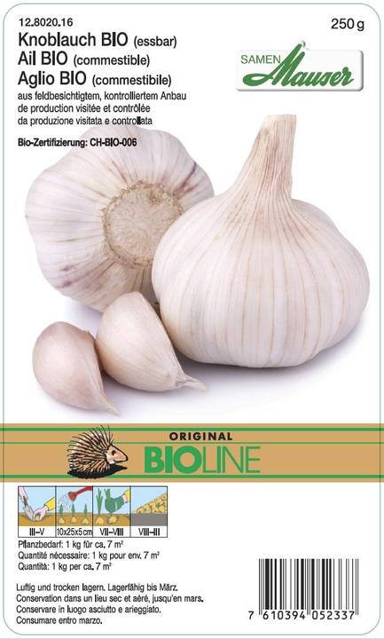 Actual product image Samen Mauser Garlic (Vegetable seeds)