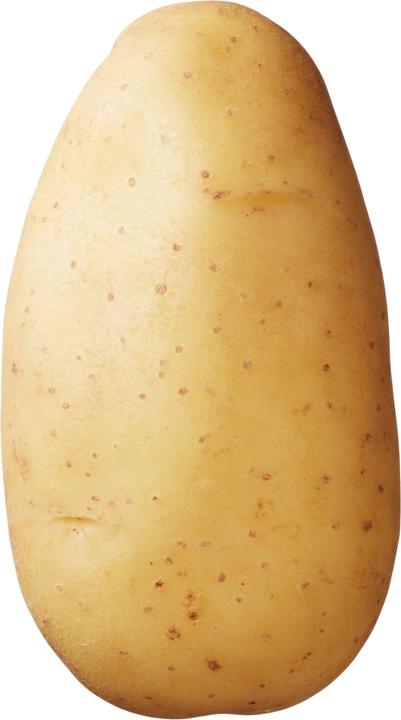 Actual product image Samen Mauser Erika seed potato (Vegetable seeds)