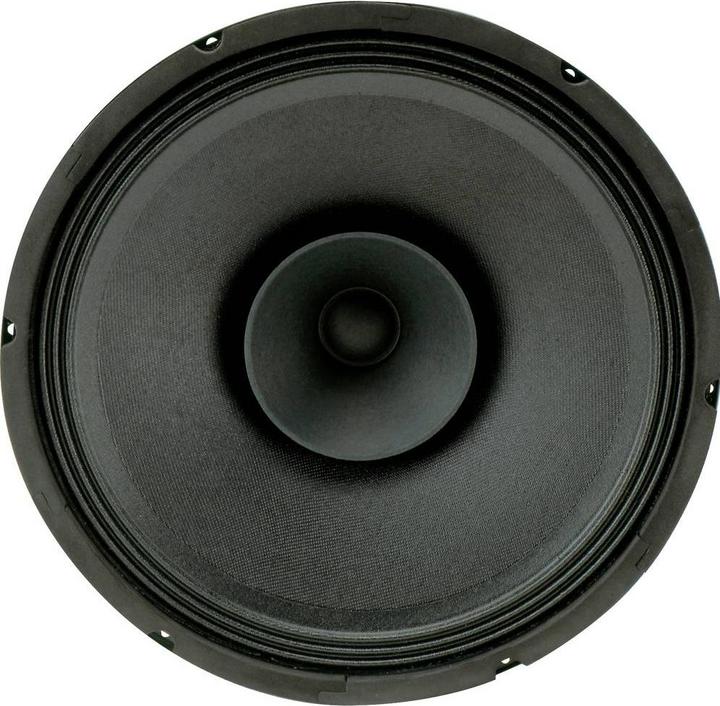 Image du produit Rockwood Blanko PA Bass Fullrange 300 mm Haut-parleur pour guitare (1 pièce)