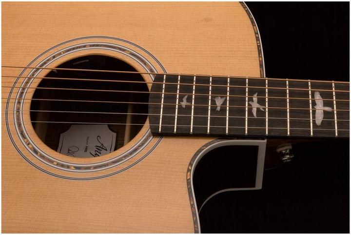 Actual product image PRS Se A40e (Semi acoustic guitar, Mahogany, Spruce, Ovangkol)