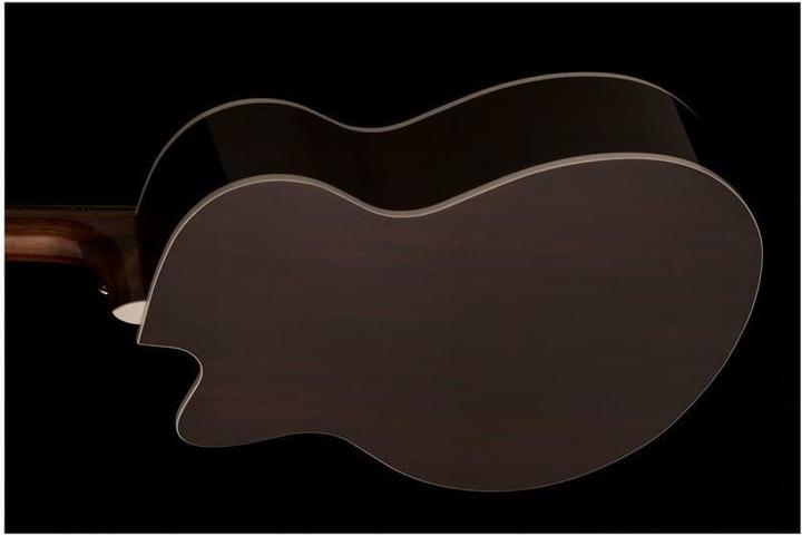Actual product image PRS Se A40e (Semi acoustic guitar, Mahogany, Spruce, Ovangkol)
