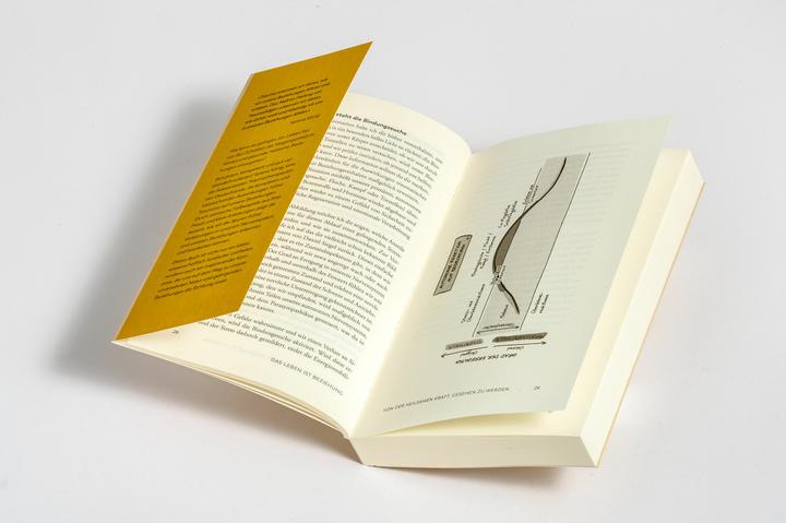 Actual product image Trauma und Beziehungen (German, Verena King, Verena Mayer-Kolbinger, 2024)