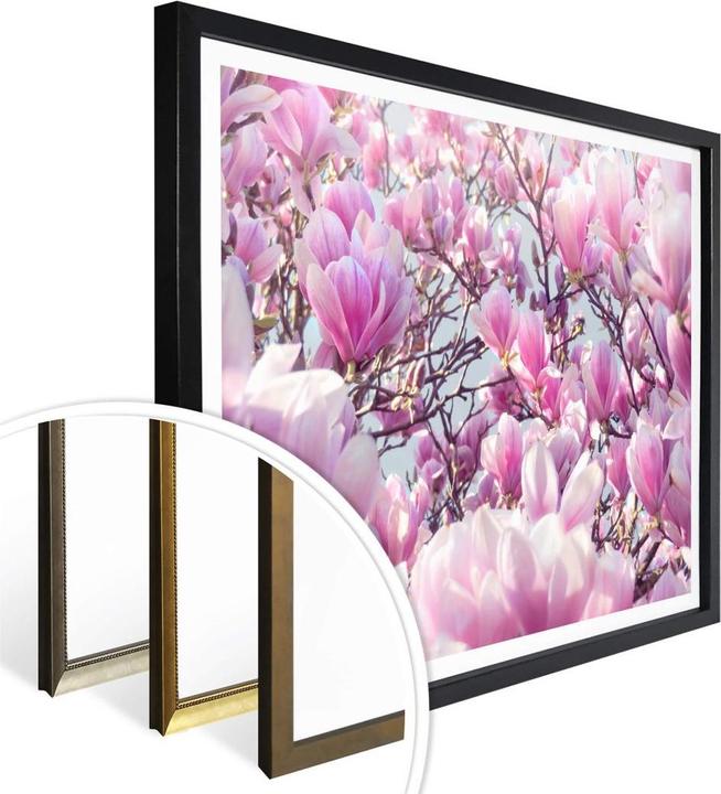 Image du produit Trenddeko Magnolia (30 x 24 cm)
