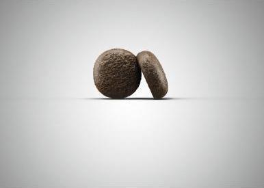 Immagine prodotto Josera Festival (Adulto, 1 pz., 900 g)