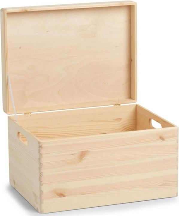 Image du produit Zeller Present Boîte polyvalente (40 x 30 x 23 cm, 29 l)