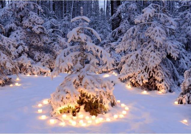 Immagine prodotto Biglietto di auguri con candele intorno all'albero di Natale - Natale - (1 pz.)