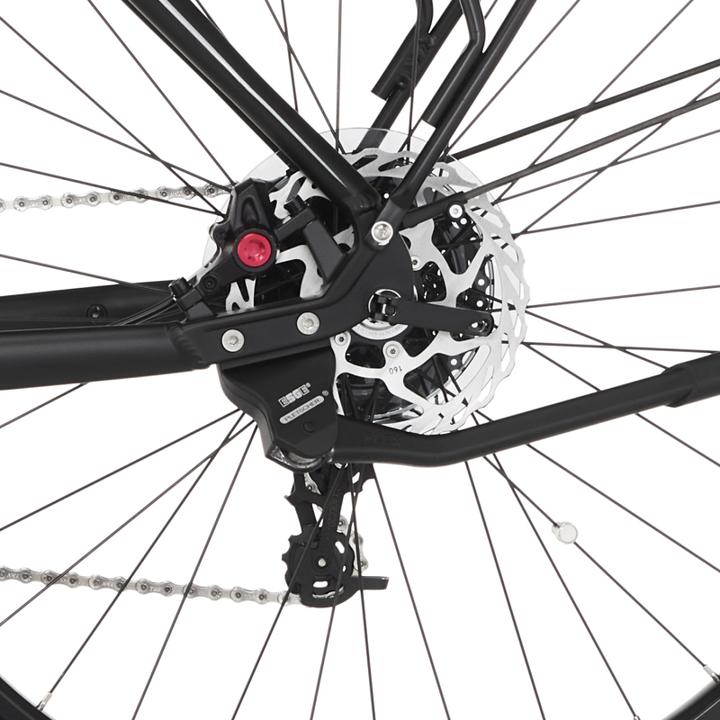 Produktbild Fischer E-Trekkingbike Terra 5.0i (44 cm)