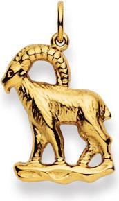 Natsumi Schmuck Anhänger Sternzeichen Steinbock Gelbgold 18K/750 gross (750/18 K Gelbgold)
