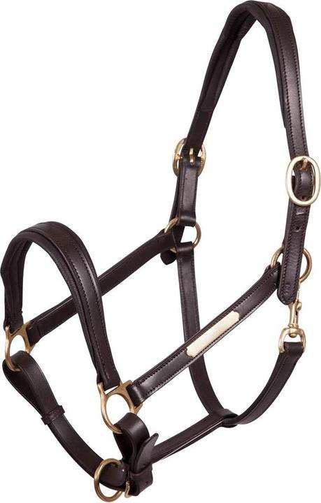 Produktbild Premiere halfter aus leder equitation