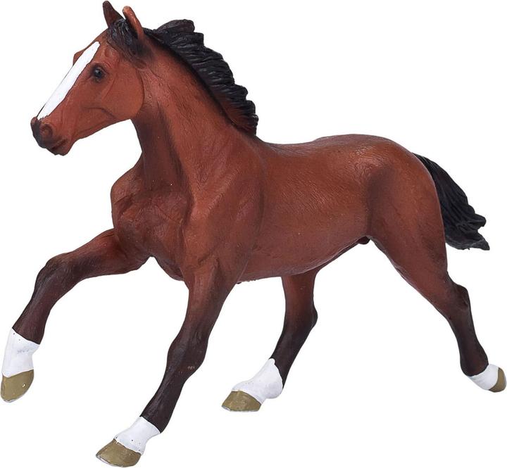 Actual product image Animal Planet thoroughbred