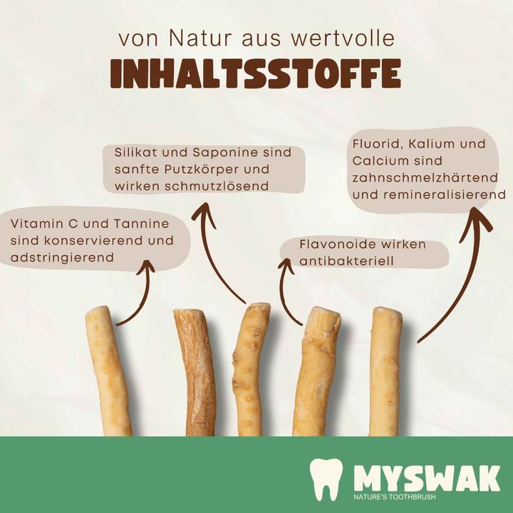 Immagine prodotto Miswak Spazzolino da denti in legno (6 x)