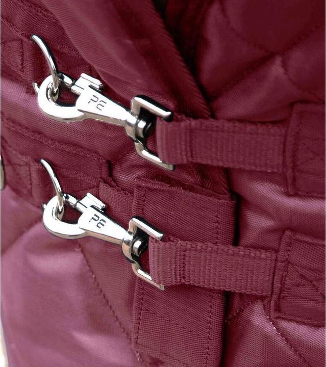 Produktbild Premier Equine Tuscan 200 g (191 cm)